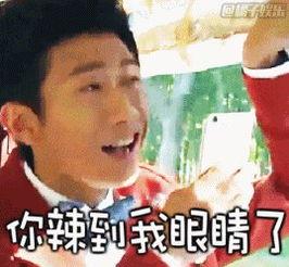 高能少年团表情包水军,揭秘网络热图的幕后推手