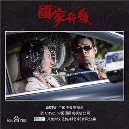 国家行动电视剧背景,捍卫民族荣光