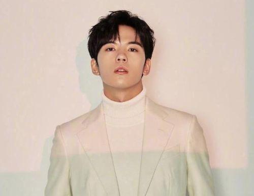 《娱乐圈 盛世名汪,娱乐圈的璀璨明星与辉煌岁月